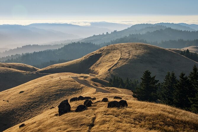 Muir Woods Self-Guided Driving and Walking Audio Tour - The App Setup Matters More Than You Might Expect