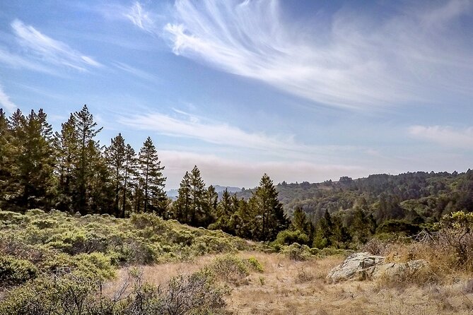 Muir Woods Self-Guided Driving and Walking Audio Tour - Price and Value for a Small Group