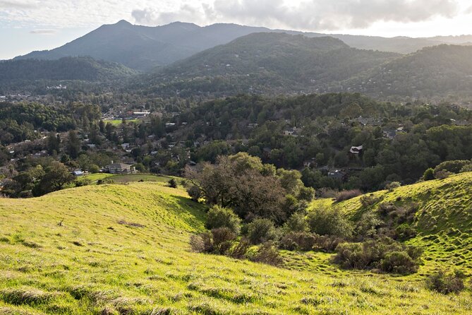Muir Woods Self-Guided Driving and Walking Audio Tour - Who Will Like This Tour Most