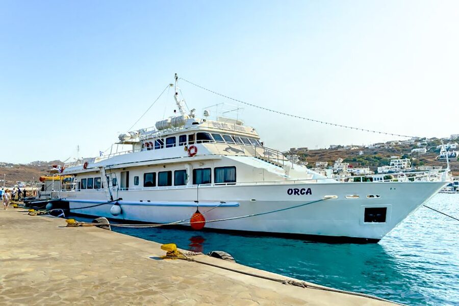 Mykonos: Delos Boat Transfer with Cell Phone Audioguide - Is $51 a fair price?
