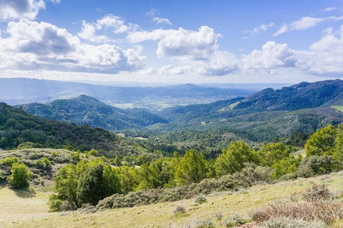 Napa Valley & Sonoma Self-Guided Audio Driving Tour - Old Faithful of California and Calistoga