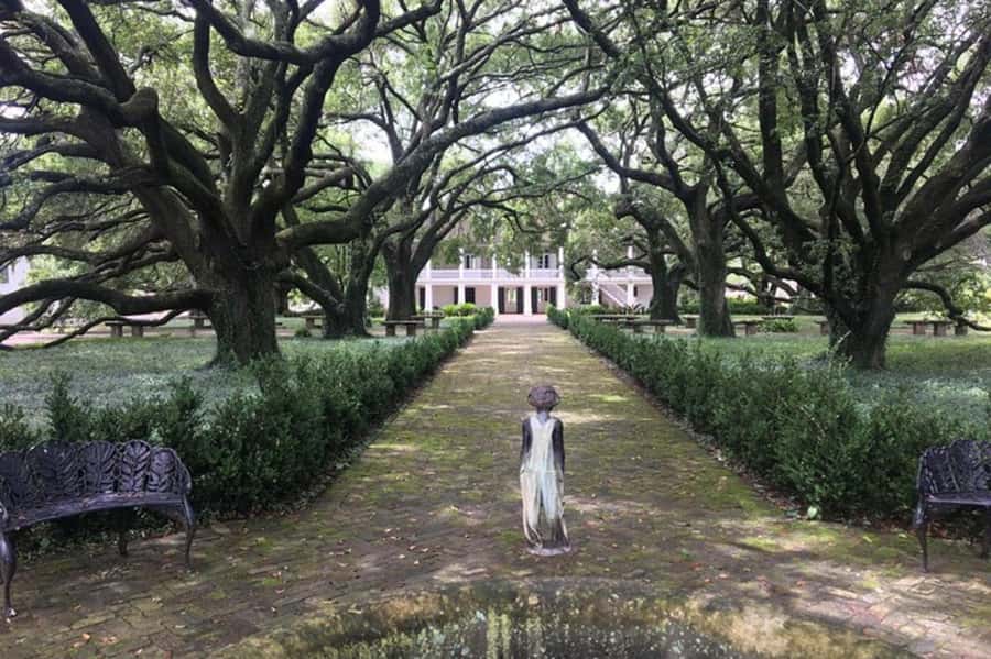 New Orleans: Whitney Plantation Audio Tour with Transfers - Key points to know before you book