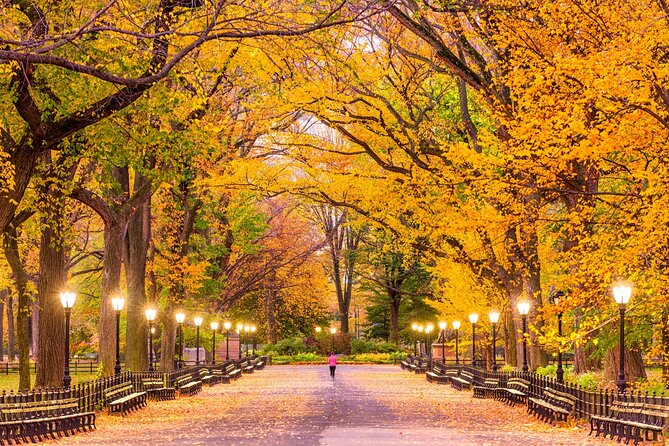 New York’s Iconic Central Park: A Self-Guided Audio Tour - Gapstow Bridge and Central Park on screen