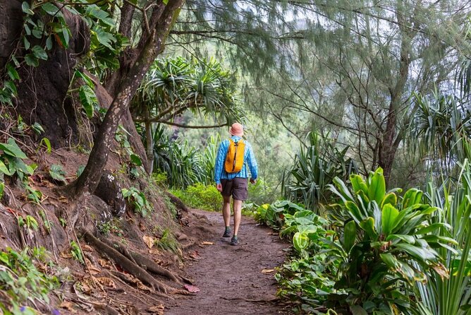 Oahu's North Shore Self-Guided Audio Tour - Key points at a glance