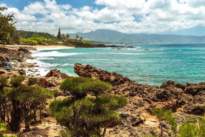 Oahu's North Shore Self-Guided Audio Tour - Soap, shave ice, and sea turtles