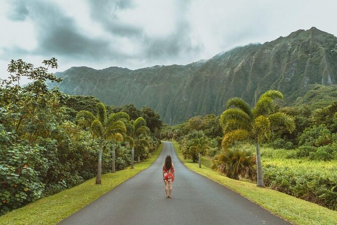 Oahu's North Shore Self-Guided Audio Tour - Ted’s Bakery, Kawela Bay, and Kahuku shrimp