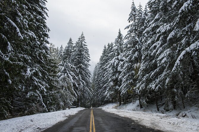 Olympic National Park Self-Guided Driving Audio Tour - Meldrim Point and the turn toward Sol Duc