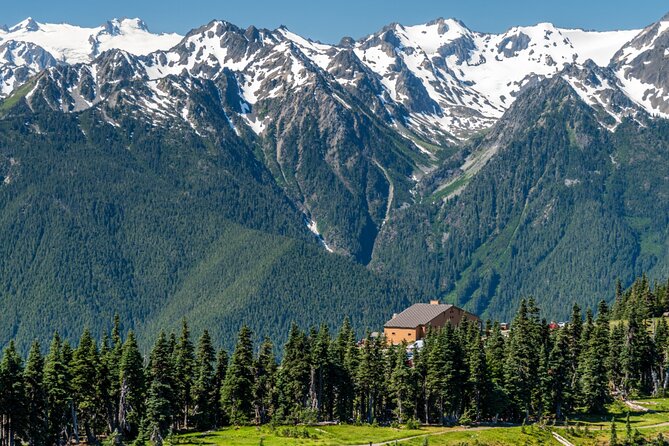Olympic National Park Self-Guided Driving Audio Tour - The western bonus route: Forks, Bogachiel, and the Hoh Rainforest