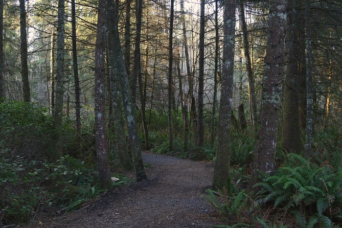 Oregon Coast Self Guided Audio Driving Tour - Otter Crest, Boiler Bay, and Fogarty Creek