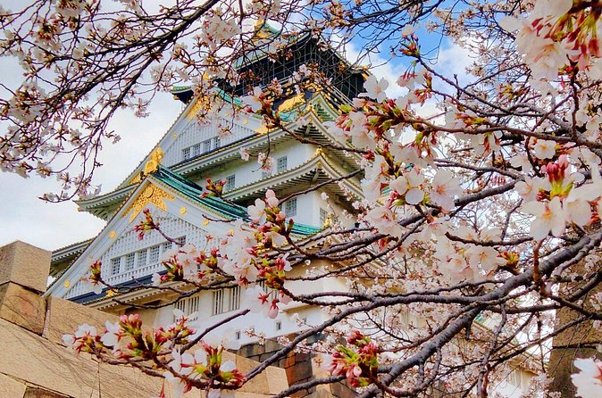 Osaka Castle & Temple Walking Tour with Multilingual Audio Guide - The five-minute subway connection