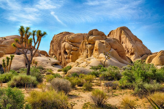Palm Springs and Joshua Tree Self-Guided Driving Audio Tours - Key points to know before you go
