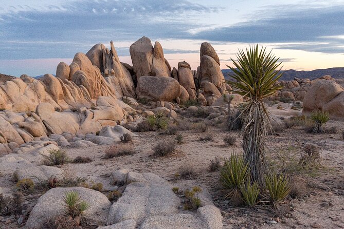 Palm Springs and Joshua Tree Self-Guided Driving Audio Tours - Palm Springs oddities, monuments, and desert routes