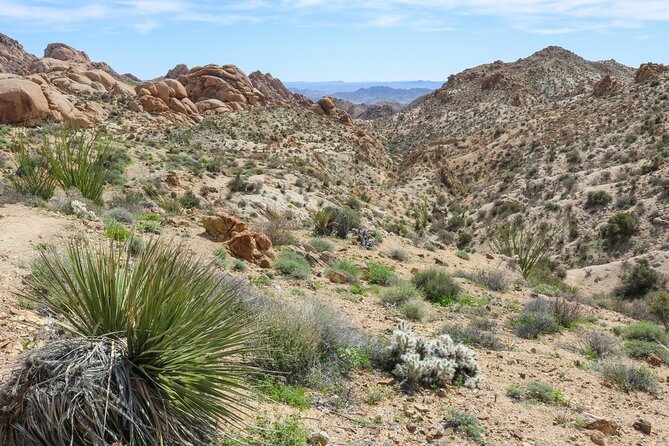 Palm Springs and Joshua Tree Self-Guided Driving Audio Tours - Hiking options near the palms