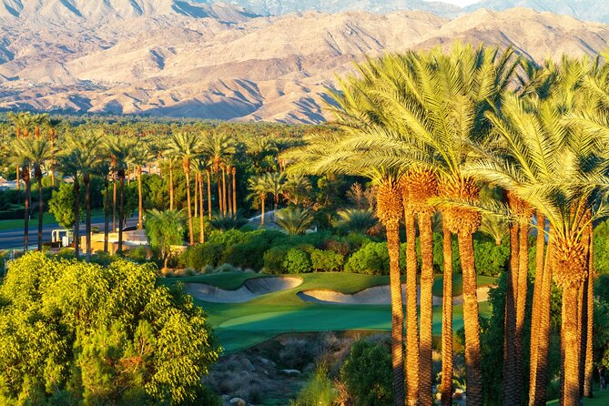 Palm Springs and Joshua Tree Self-Guided Driving Audio Tours - The easiest Joshua Tree stops offer the best return