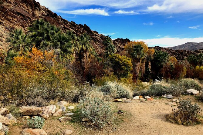 Palm Springs Self-Guided Driving Audio Tour - The Movie Colony and Palm Springs celebrity culture