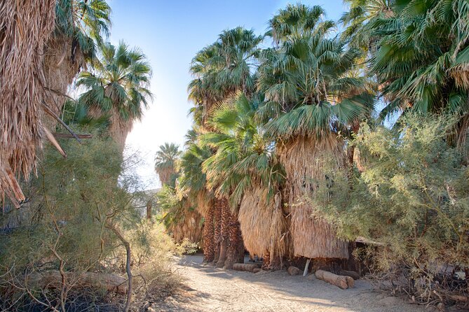 Palm Springs Self-Guided Driving Audio Tour - Robolights and the Walk of the Stars