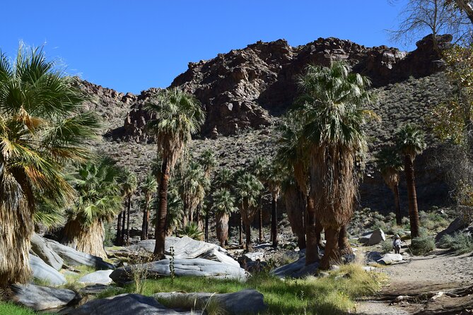 Palm Springs Self-Guided Driving Audio Tour - Coachella Valley and Palm Springs International Airport