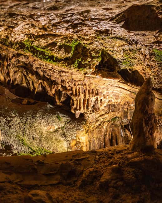 Palma: Caves of Genova Ticket & Digital Audio Guide - Why the Caves of Genova make sense from Palma