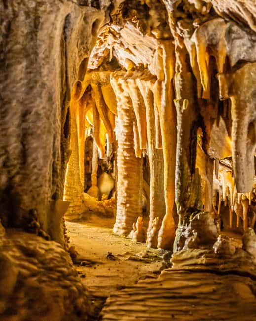 Palma: Caves of Genova Ticket & Digital Audio Guide - Shoes, stairs, and the practical side of the visit