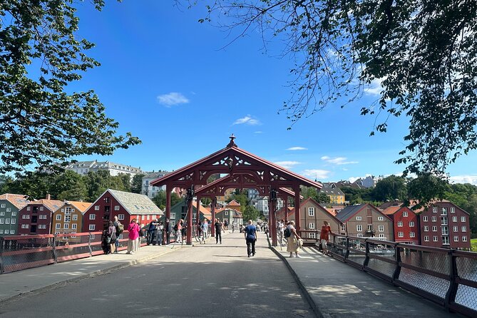 Panorama Bus Tour with Audio Guide - Bakklandet and the Old Town Bridge