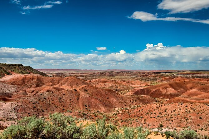 Petrified Forest National Park Self Guided Audio Driving Tour - Agate Bridge and a 100-foot petrified log
