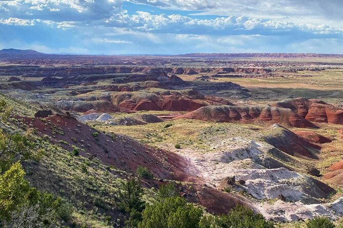 Petrified Forest National Park Self-Guided Driving Audio Tour - Pintado Point and the Painted Desert views
