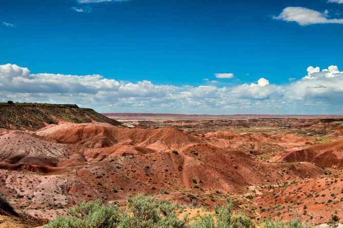 Petrified Forest National Park Self-Guided Driving Audio Tour - Blue Mesa: the best short walk on the route