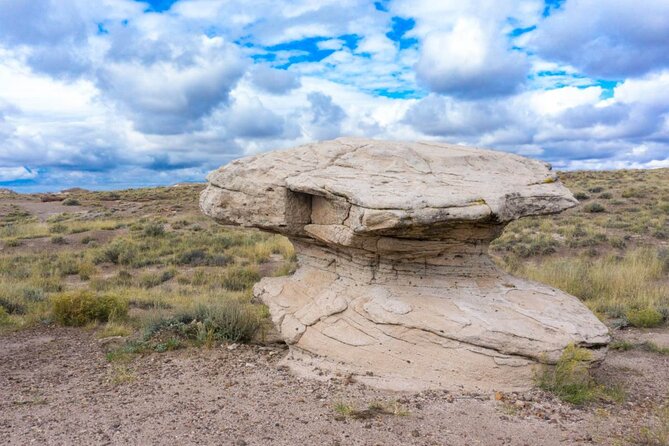 Petrified Forest National Park Self-Guided Driving Audio Tour - Route 66 and the story beneath your tires