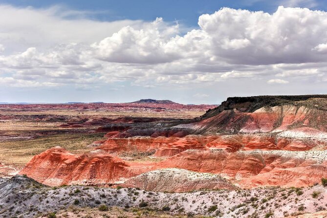 Petrified Forest National Park Self-Guided Driving Audio Tour - Petroglyphs, Lacey Point, and the natural bridge
