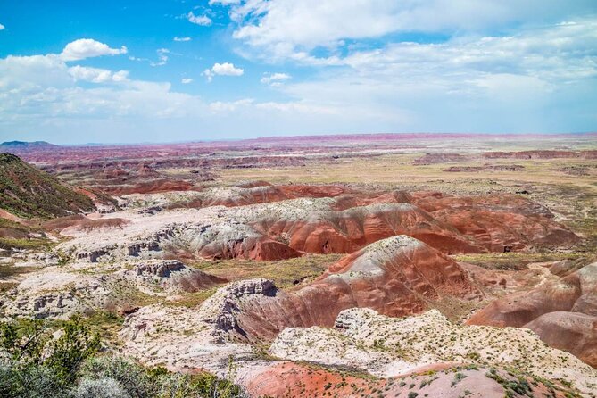 Petrified Forest National Park Self-Guided Driving Audio Tour - Jasper Forest and Crystal Forest