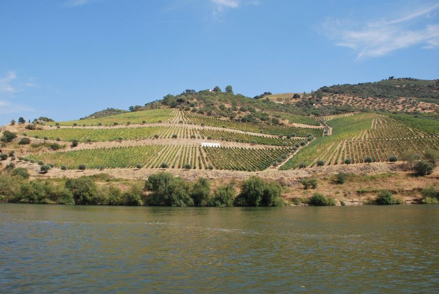 Pinhão: 2-Hour Rabelo Boat Tour with Audio Guide - Why this Douro cruise is worth your time