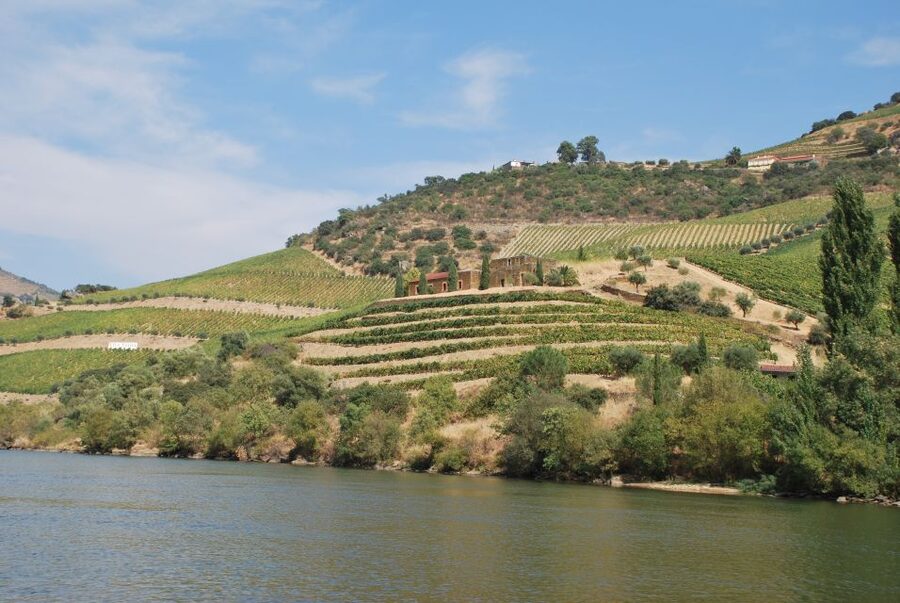 Pinhão: 2-Hour Rabelo Boat Tour with Audio Guide - From the iron bridge to the first vineyards