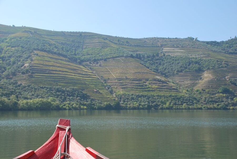 Pinhão: 2-Hour Rabelo Boat Tour with Audio Guide - Malvedos, Foz Tua, and the turnaround point