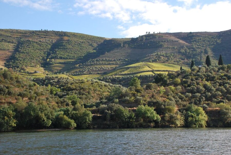 Pinhão: 2-Hour Rabelo Boat Tour with Audio Guide - The audio guide needs preparation