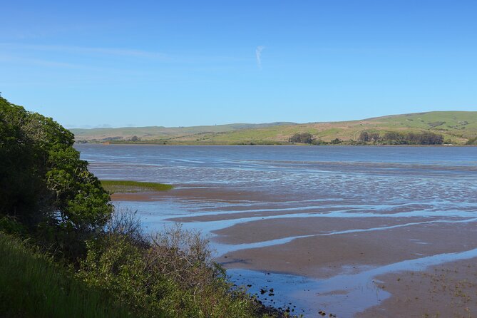 Point Reyes National Seashore Self Guided Driving Audio Tour - Drakes Estero and the 2.5-Mile Walking Option