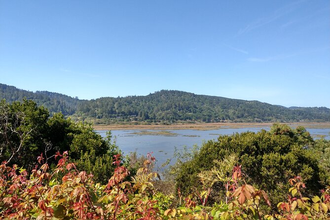 Point Reyes National Seashore Self Guided Driving Audio Tour - Elephant Seals and Sea Lions Are Not the Same