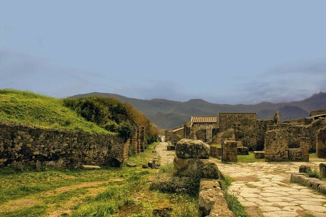 Pompeii Archaeological Park Skip-the-line Entry and Audio Guide - The House of the Faun and Pompeian homes