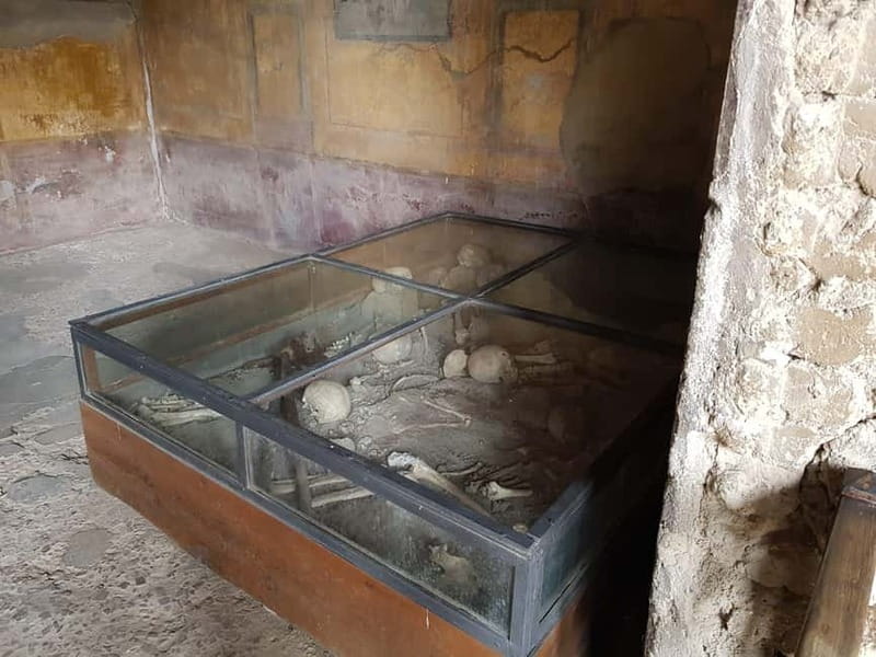 Pompeii: Entry Ticket w/ Guide and Transfers or Audio Guide - Key points to know before you book