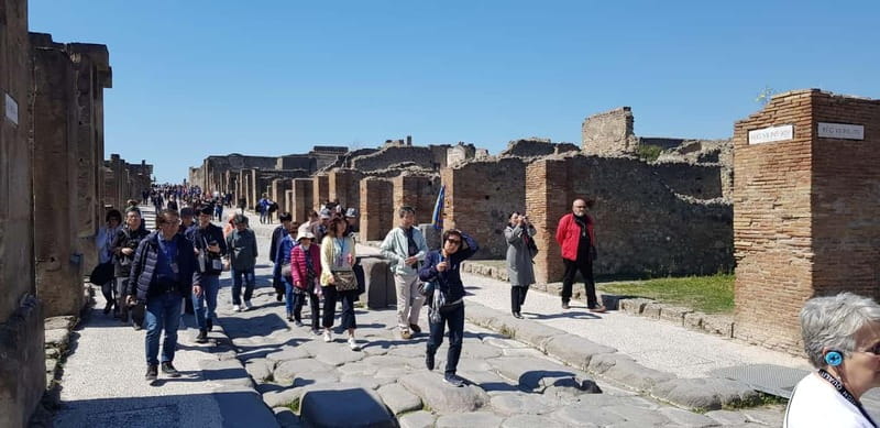 Pompeii: Entry Ticket w/ Guide and Transfers or Audio Guide - The plaster casts and the human cost of 79 AD