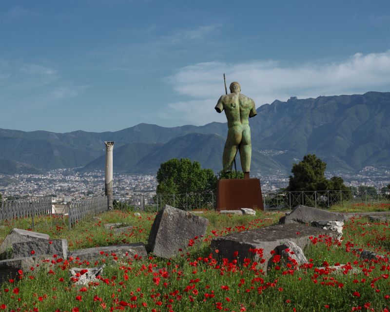 Pompeii: Skip-the-Line Entry Ticket with Digital Guide App - Getting inside without the regular ticket queue