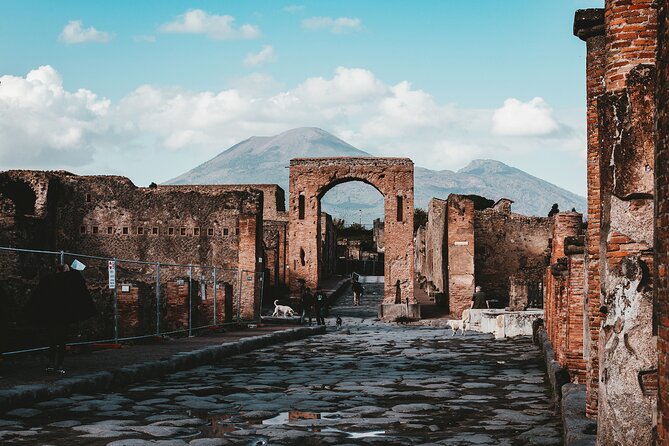 Pompeii: Skip the line ticket (art) + audioguide + map - What the $44.31 price really buys you