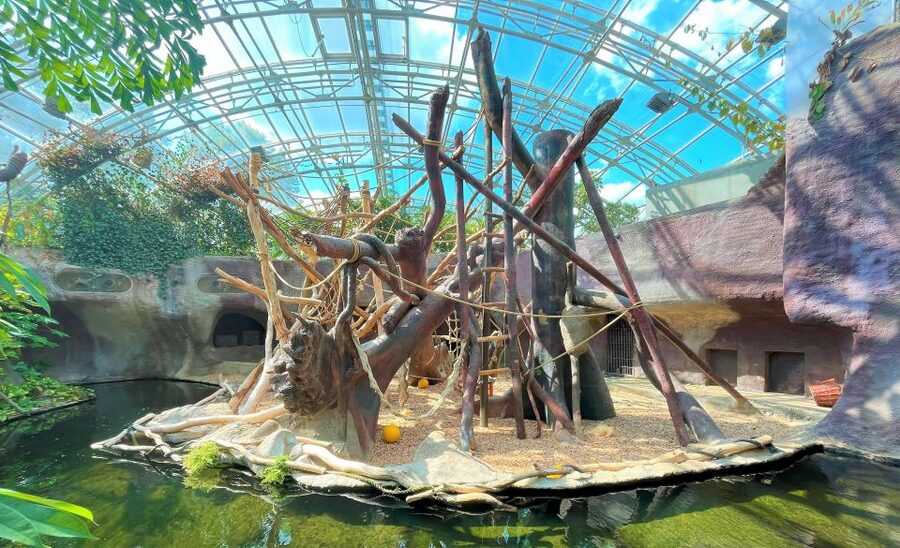 Prague: Prague Zoo Audio Guide with E-Ticket - Practical tips for using the maps