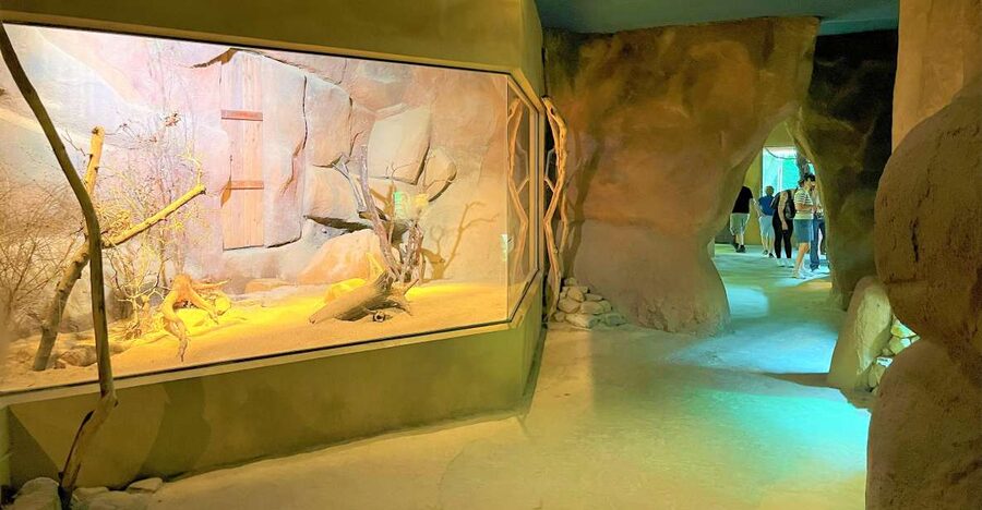 Prague: Prague Zoo Audio Guide with E-Ticket - A large zoo with a difficult past