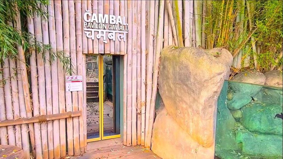 Prague: Prague Zoo Audio Guide with E-Ticket - Planning a full day among the pavilions