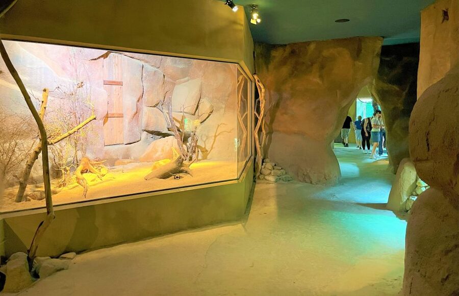 Prague: Prague Zoo Audio Guide with E-Ticket - Starting at U Trojského zámku 120/3
