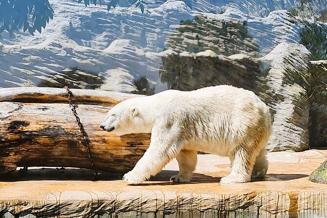 Prague Zoo Ticket with Online Audio Guide - Key points at a glance