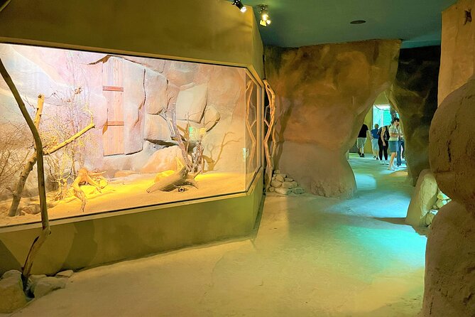 Prague Zoo Ticket with Online Audio Guide - How the online audio guide changes the visit