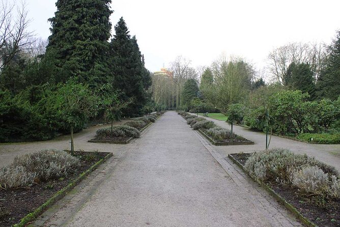Private audio book city rally around the Rombergpark in Dortmund - What This Dortmund Rally Actually Is