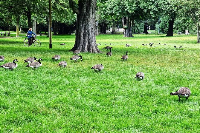 Private audio book city rally in the Volksgarten in Cologne - How the two-hour route unfolds