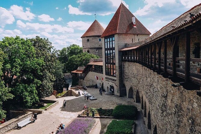 Private Self-Guided Audio Walking Tour in Tallinn Old Town - A Tallinn viewpoint worth a pause